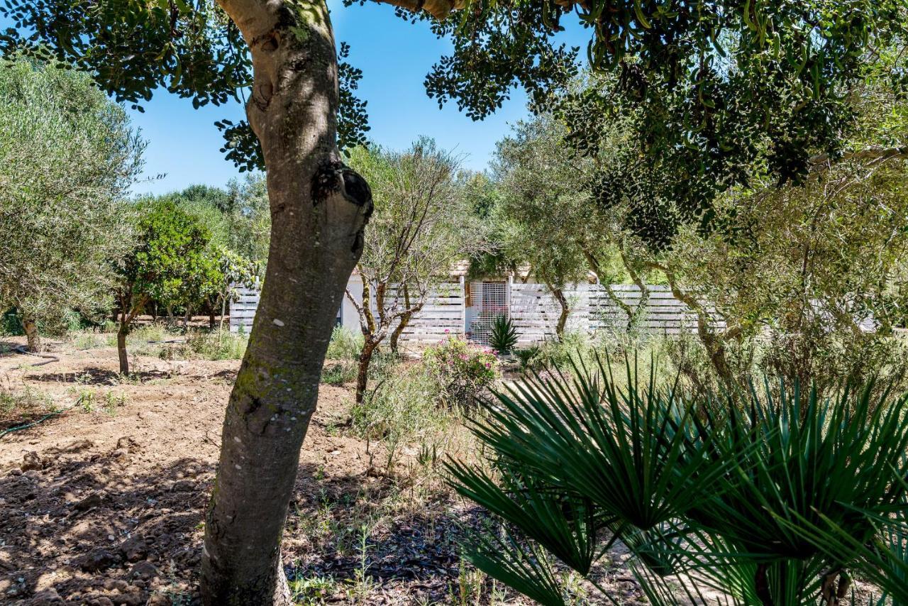 Casita Estudio El Castano El Palmar  Exteriér fotografie